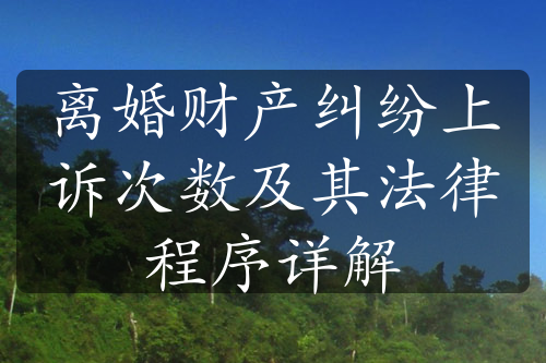 离婚财产纠纷上诉次数及其法律程序详解