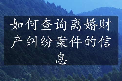 如何查询离婚财产纠纷案件的信息