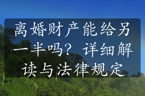 离婚财产能给另一半吗？详细解读与法律规定