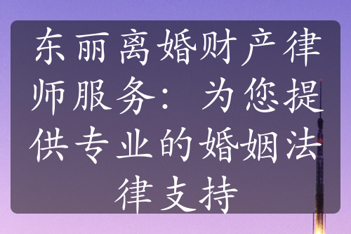 东丽离婚财产律师服务：为您提供专业的婚姻法律支持