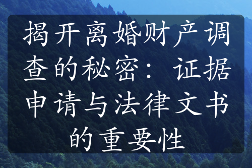 揭开离婚财产调查的秘密：证据申请与法律文书的重要性