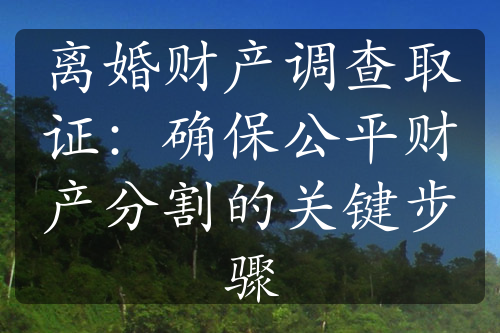 离婚财产调查取证：确保公平财产分割的关键步骤