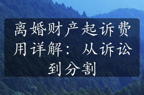 离婚财产起诉费用详解：从诉讼到分割