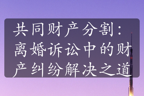 共同财产分割：离婚诉讼中的财产纠纷解决之道