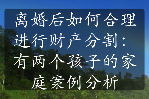 离婚后如何合理进行财产分割：有两个孩子的家庭案例分析