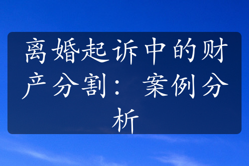 离婚起诉中的财产分割：案例分析