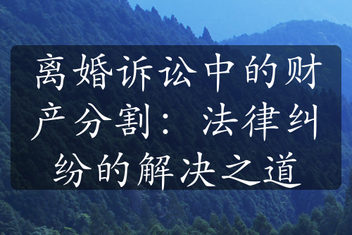 离婚诉讼中的财产分割：法律纠纷的解决之道