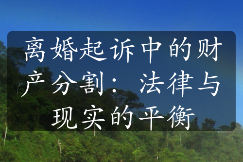 离婚起诉中的财产分割：法律与现实的平衡