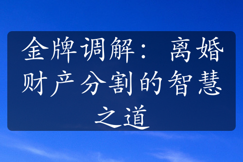 金牌调解：离婚财产分割的智慧之道