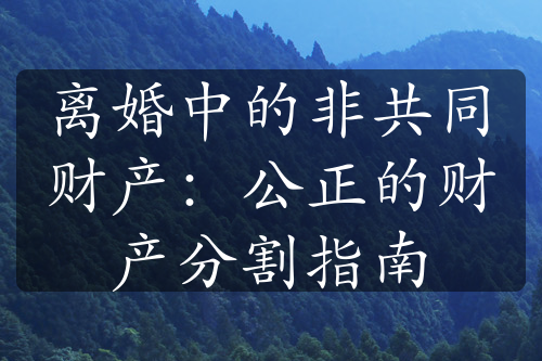 离婚中的非共同财产：公正的财产分割指南