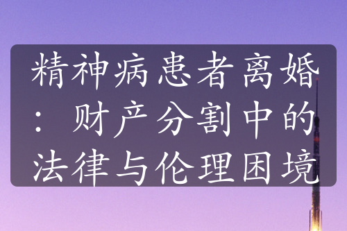 精神病患者离婚：财产分割中的法律与伦理困境