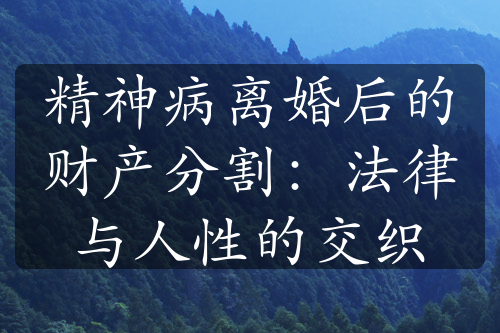 精神病离婚后的财产分割：法律与人性的交织