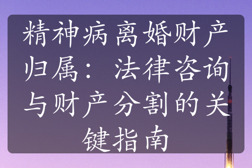 精神病离婚财产归属：法律咨询与财产分割的关键指南