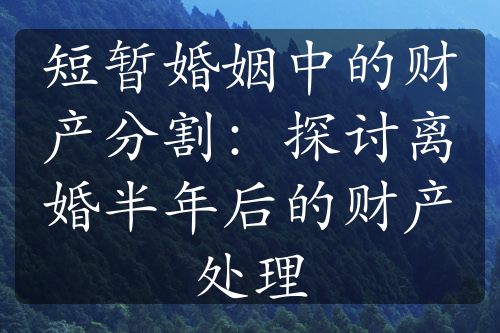 短暂婚姻中的财产分割：探讨离婚半年后的财产处理