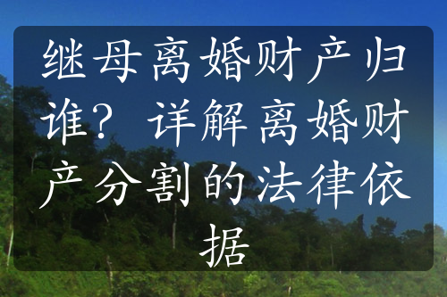 继母离婚财产归谁？详解离婚财产分割的法律依据