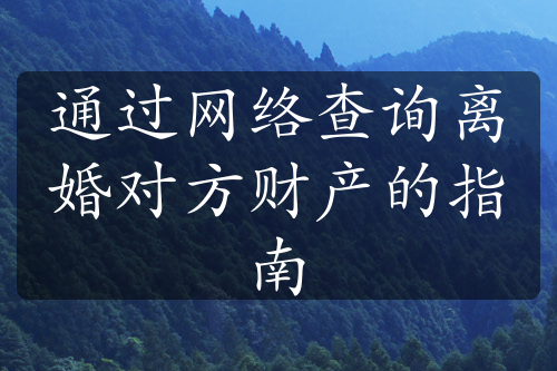 通过网络查询离婚对方财产的指南