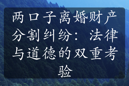 两口子离婚财产分割纠纷：法律与道德的双重考验