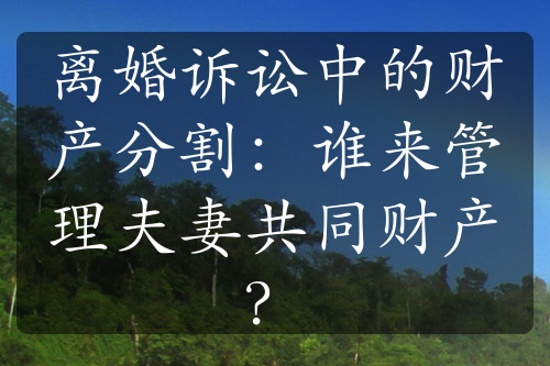 离婚诉讼中的财产分割：谁来管理夫妻共同财产？