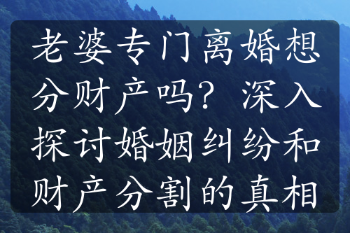 老婆专门离婚想分财产吗？深入探讨婚姻纠纷和财产分割的真相