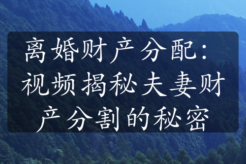 离婚财产分配：视频揭秘夫妻财产分割的秘密