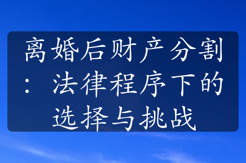 离婚后财产分割：法律程序下的选择与挑战