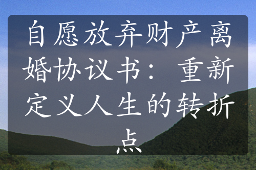 自愿放弃财产离婚协议书：重新定义人生的转折点