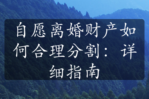 自愿离婚财产如何合理分割：详细指南