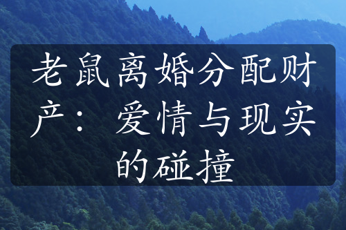 老鼠离婚分配财产：爱情与现实的碰撞