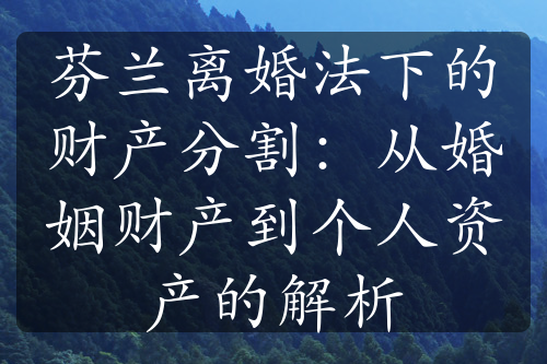 芬兰离婚法下的财产分割：从婚姻财产到个人资产的解析