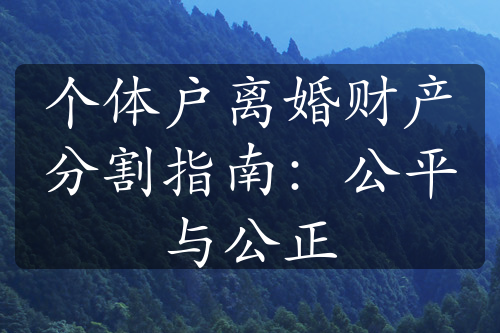 个体户离婚财产分割指南：公平与公正