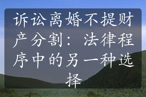 诉讼离婚不提财产分割：法律程序中的另一种选择