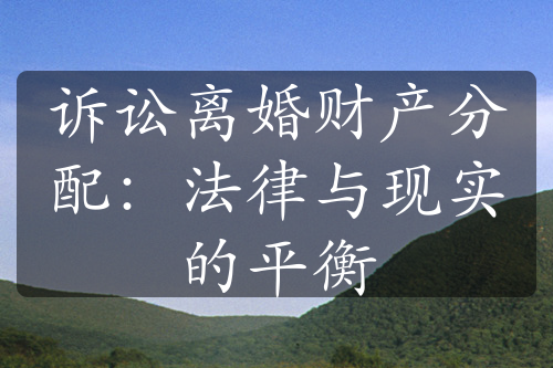 诉讼离婚财产分配：法律与现实的平衡