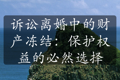 诉讼离婚中的财产冻结：保护权益的必然选择