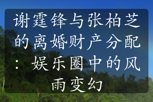 谢霆锋与张柏芝的离婚财产分配：娱乐圈中的风雨变幻