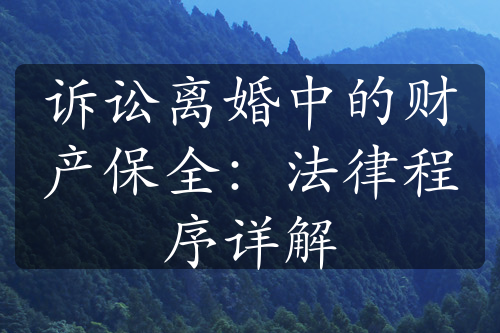 诉讼离婚中的财产保全：法律程序详解