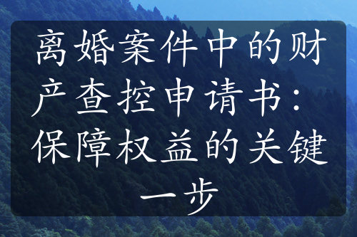 离婚案件中的财产查控申请书：保障权益的关键一步