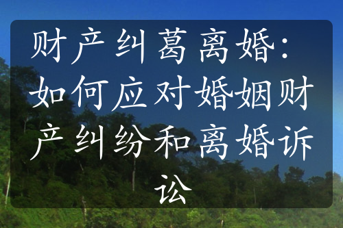 财产纠葛离婚：如何应对婚姻财产纠纷和离婚诉讼