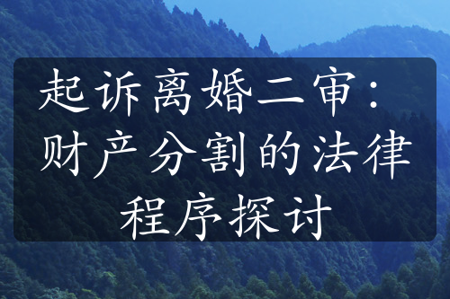 起诉离婚二审：财产分割的法律程序探讨