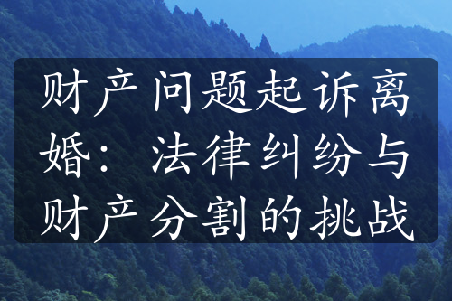 财产问题起诉离婚：法律纠纷与财产分割的挑战