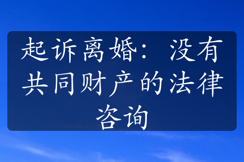 起诉离婚：没有共同财产的法律咨询