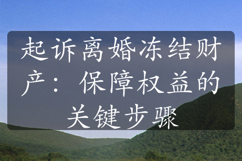 起诉离婚冻结财产：保障权益的关键步骤