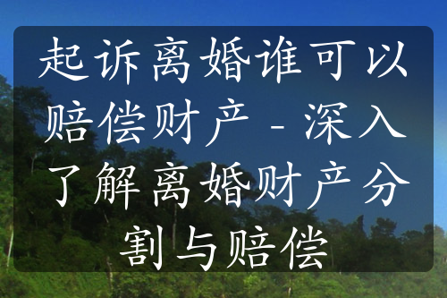 起诉离婚谁可以赔偿财产 - 深入了解离婚财产分割与赔偿