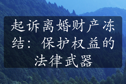 起诉离婚财产冻结：保护权益的法律武器