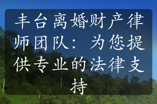 丰台离婚财产律师团队：为您提供专业的法律支持