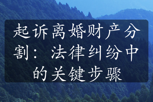 起诉离婚财产分割：法律纠纷中的关键步骤