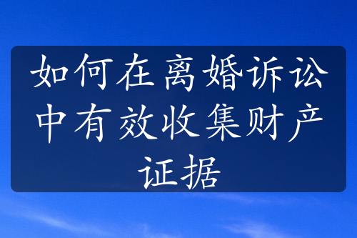 如何在离婚诉讼中有效收集财产证据