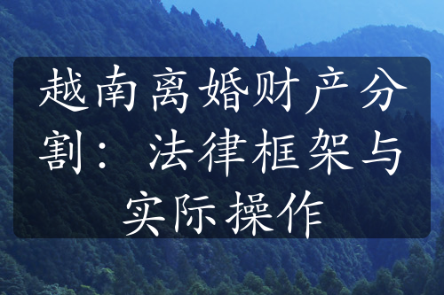 越南离婚财产分割：法律框架与实际操作