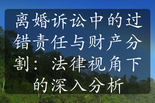 离婚诉讼中的过错责任与财产分割：法律视角下的深入分析