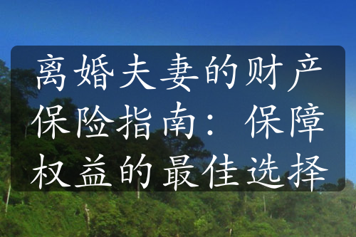 离婚夫妻的财产保险指南：保障权益的最佳选择