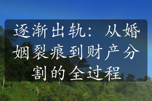 逐渐出轨：从婚姻裂痕到财产分割的全过程